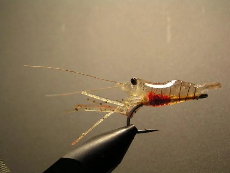 A hot glue shrimp imitation - The glue lends itself perfectly to shrimp bodies, and this fly by Danish Thomas Madsen from <a href=\"http://flueopskrifter.dk\">flueopskrifter.dk</a> uses very few other tricks to obtain a close to perfect imitation